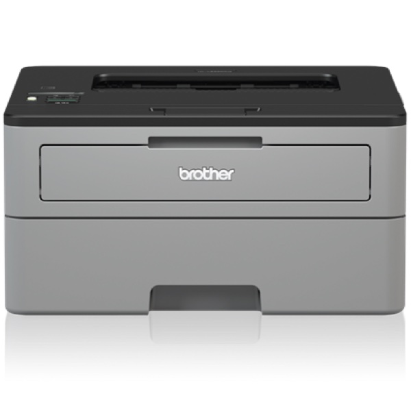 Brother Printers:  The Brother HL-L2350DW Printer